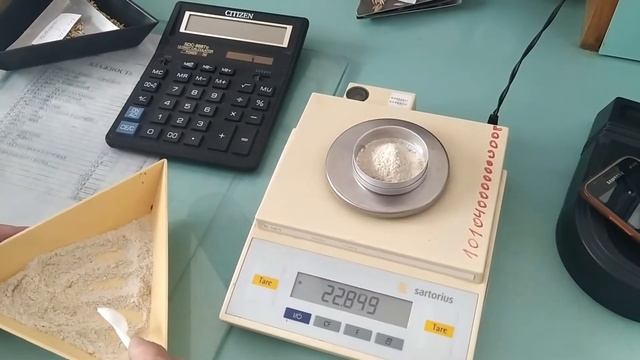 Определение сортовых и посевных качеств семян смотреть онлайн