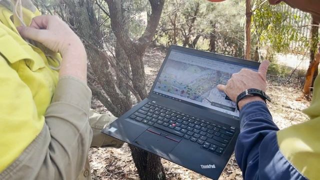 TransGrid assists survey for endangered grevillea смотреть онлайн