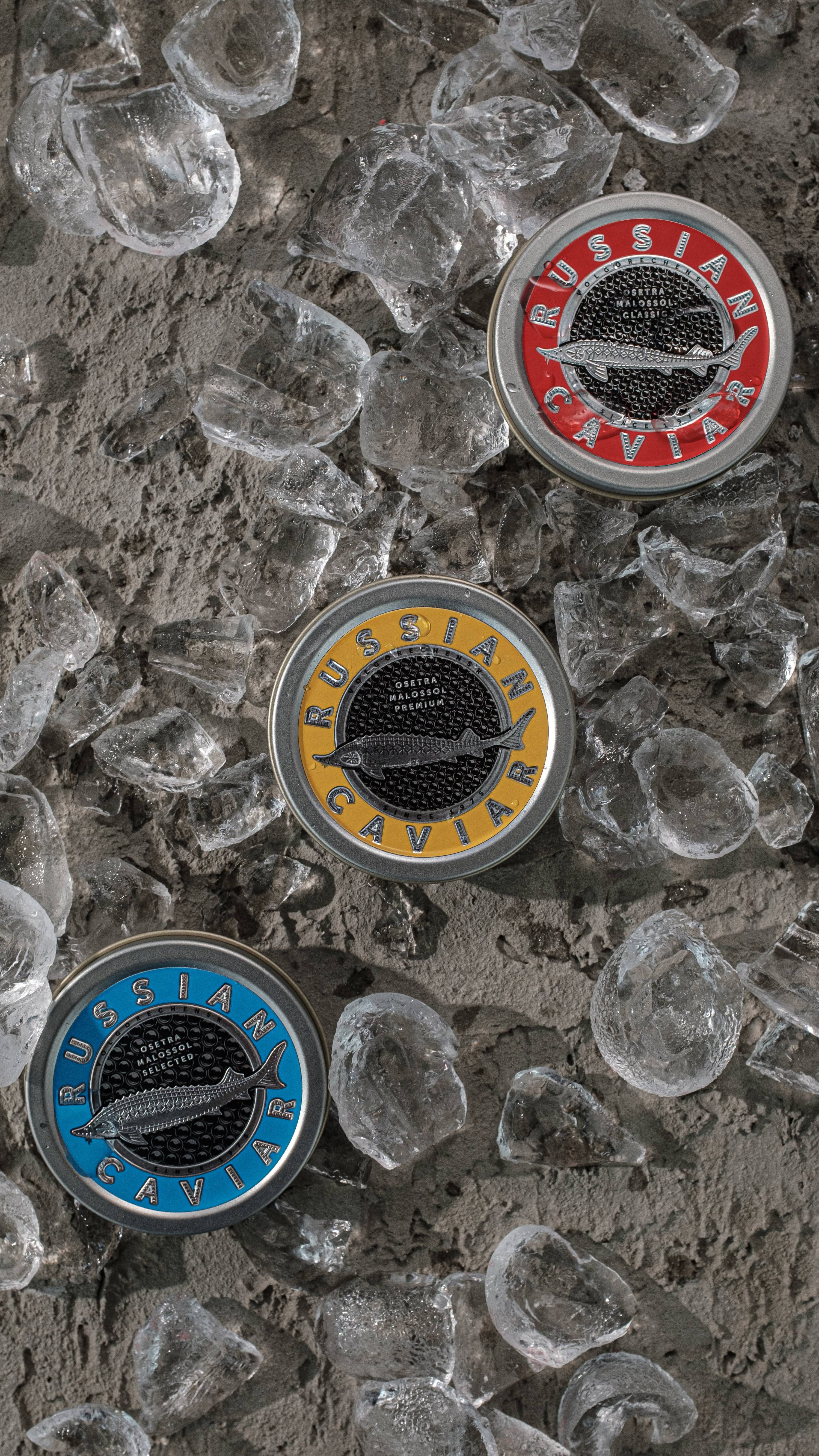 🐟 Дегустация – три сорта черной икры: классик, премиум и селектед. В чем их отличие?