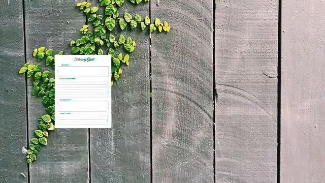 I will give you template for 2021 planner design смотреть онлайн