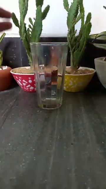 Fire Cup Vs Pi Pepper Experiment | simple science experiment | easy experiment |#E_bull_jet#yt смотреть онлайн