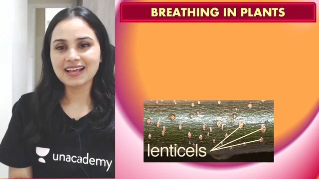 Respiration in Plants | Part 1 | NCERT Concepts | NEET 2022 | Dr. Gargi Singh смотреть онлайн