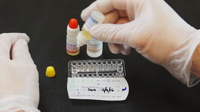 How To Perform A Speed Biogram Test