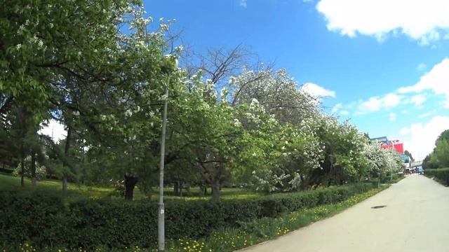 Все цветет 🌸🌸🌸и пахнет/Моя школа/ Ранеточная аллея💮💮💮/Обстановка на почте смотреть онлайн