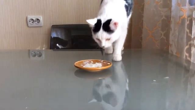 Мелисса и еда смотреть онлайн