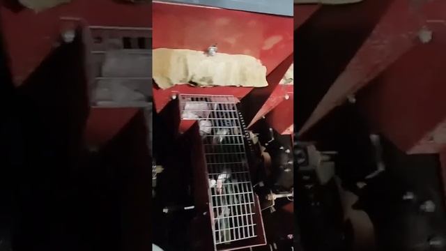 самая лучшая посадка чеснока в моей жизни) смотреть онлайн
