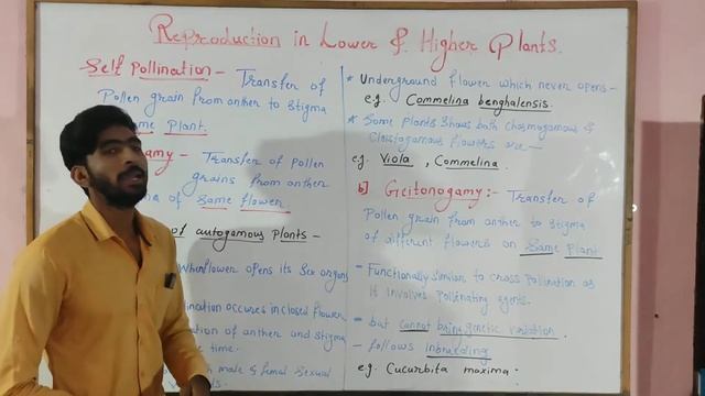pollination and types of pollination class 12th | part 6 reproduction in lower and higher plants смотреть онлайн