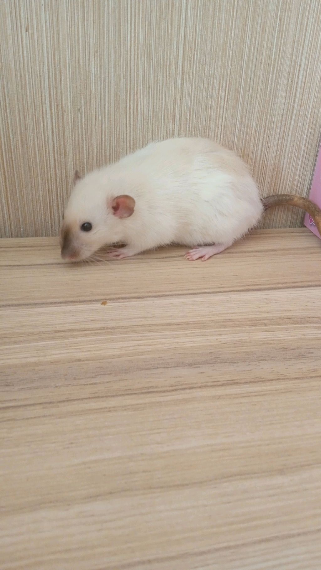 иду в школу смотреть онлайн