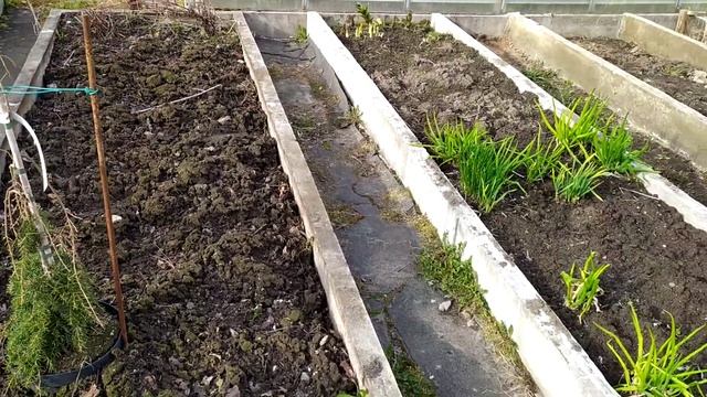 Земляника отзыв, мои новые грядки! смотреть онлайн