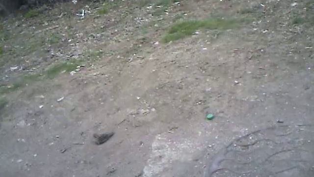 Сенсация !!!Воробей в песке-) / Sensation !!!Sparrow in the sand-) смотреть онлайн