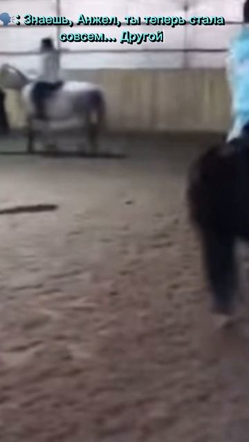 #horse #красота #лошади #галоп #лошадь #видео смотреть онлайн