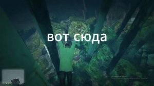 вот как стать акулой без модов в гта 5!!!!