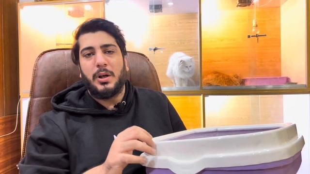 Care of Cat’s Litter tray / Litter Box | Best Cat Litter | How to Clean Cat Litter Tray смотреть онлайн