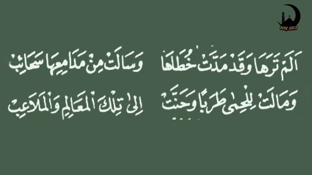 YASSIR LANA ~ VERSI SHOLAWAT DIBA'I || sholatullahi malahats kawakib смотреть онлайн
