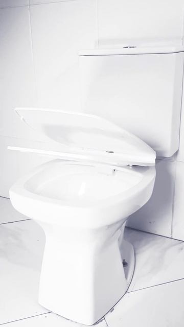Lançamento - Assento Antibacteriano Soft Close Taiti - Mondialle смотреть онлайн