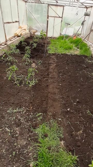 почва в теплице смотреть онлайн