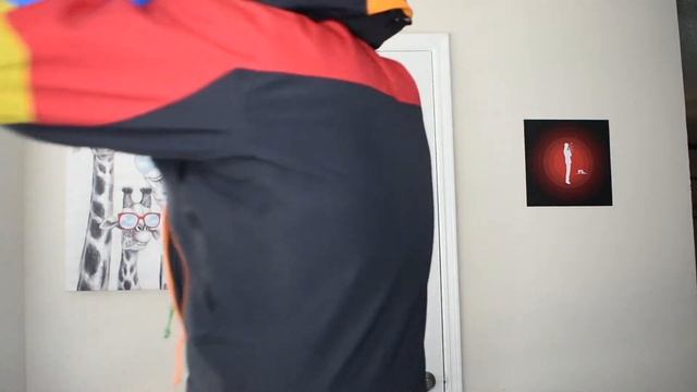 THE MOST COLORFUL ARCTERYX JACKET OF ALL TIME!?!?(Beams Theta SV 35th Anniversary W/Goretex Pro)