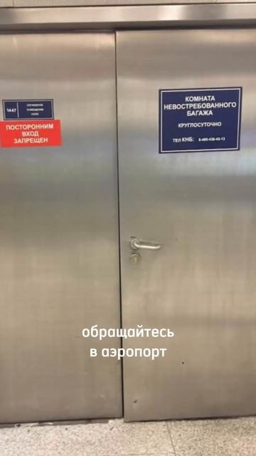 Что делать, если забыл вещи в самолете? #туризм #путешествия #отдых #shorts