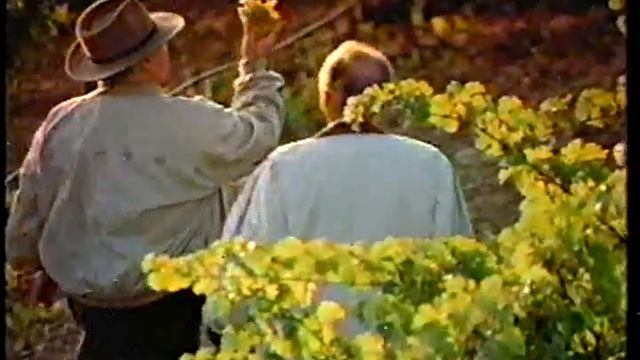 1992 - Ernest & Julio Gallo