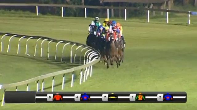 Ikigai - 2020 Gauteng Guineas смотреть онлайн