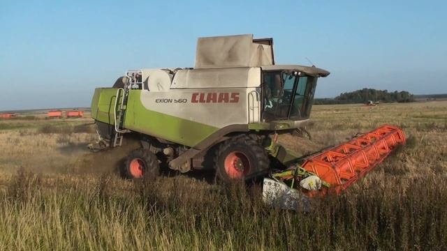 CLAAS LEXION 560,CLAAS TUCANO 450 на уборке ячменя. смотреть онлайн