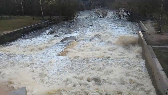 Сестрорецк плотина Гаусмана, релакс 5 минут смотреть онлайн