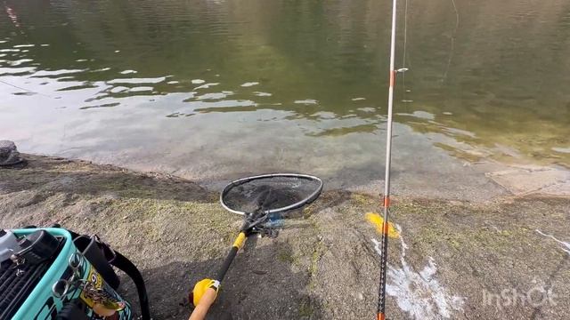 TCレイゲンで平谷湖解禁行ってみた смотреть онлайн