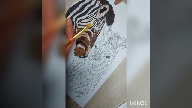 mother and young zebra art colouring смотреть онлайн