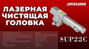 Чистящая голова