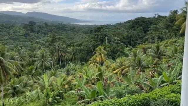 Adorable 4 Bedroom 2 Bathroom House For Sale In Orange Bay, Portland, Jamaica смотреть онлайн