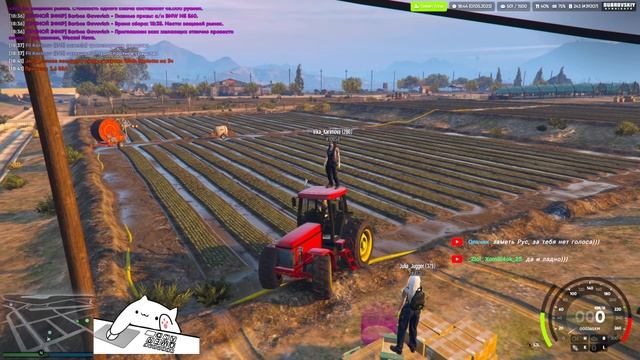 Будни на DUBROVSKIY SYNDICATE RP #gta5rp #gta5 #gta5roleplay #киберфайл смотреть онлайн