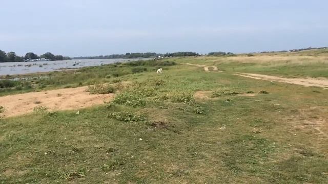 Лина и Кити 30 08 16 смотреть онлайн