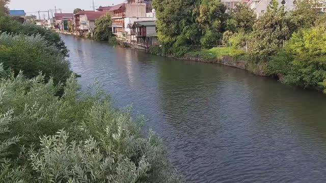 Достопримечательности поселка и реки Дагомыс.