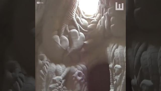 25 мая 2019 г. смотреть онлайн