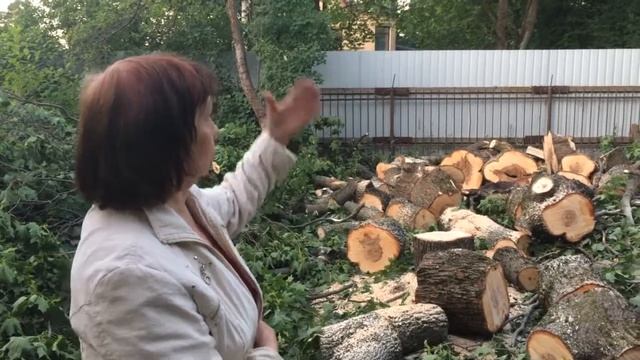 СПб, ул Варваринская смотреть онлайн