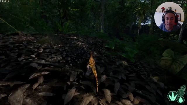 LIVE de THE ISLE EVRIMA / PTERANODON / DEINOSUSHUS / UTAHRAPTOR смотреть онлайн