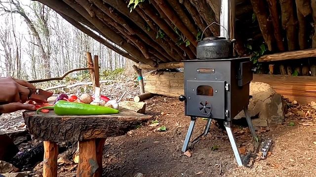 BUSHCRAFT CAMP and WARM SURVIVAL SHELTER - Off Grid BUILD TINY HOUSE - Cooking Camping with My Dog смотреть онлайн