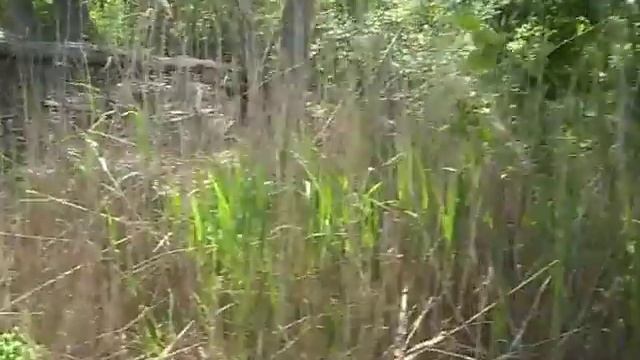 Happy Mums day!!! (Taylor's POV) смотреть онлайн