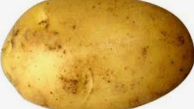 КАРТОШКА ТАНЦУЕТ ПОД ФОНК!!!!!😱😱😱😰😰😓😓😖😞😞😩😖😎😎😎😵😫😱😫😱😩!!!!?!?!😞😎😱😓!!