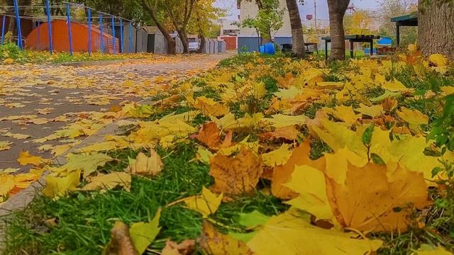 Осінь в місті Рівне. Жовтень. смотреть онлайн
