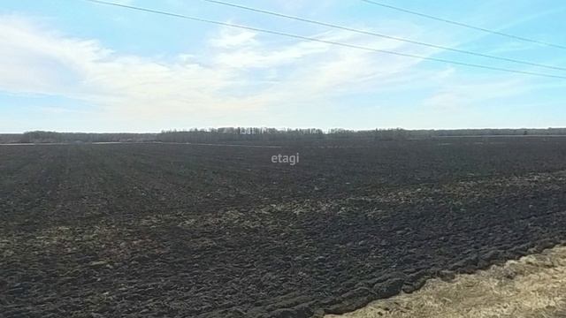 6777736, село Горьковка смотреть онлайн