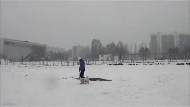 Групповое занятие по послушанию 13.04.2013_1 смотреть онлайн