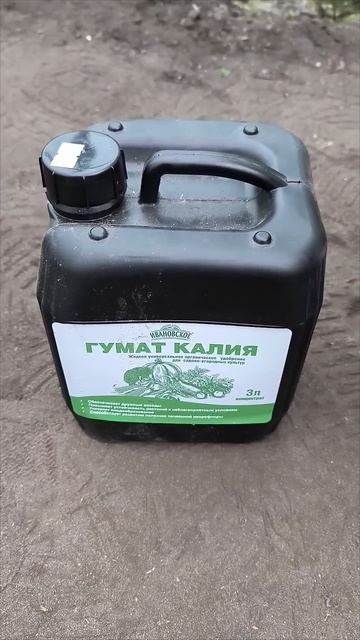 первая подкормка томатов #подкормка #гуматкалия #калий #дача #теплица #огород #томаты #помидоры