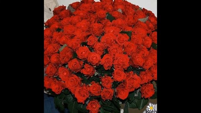 посмотрите и говорите смотреть онлайн