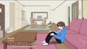 вечера с котиком все серии 1 сезон