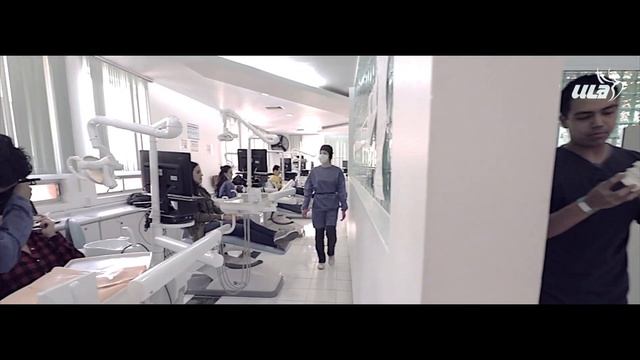 INSTITUCIONAL ULA CAMPUS VALLE смотреть онлайн