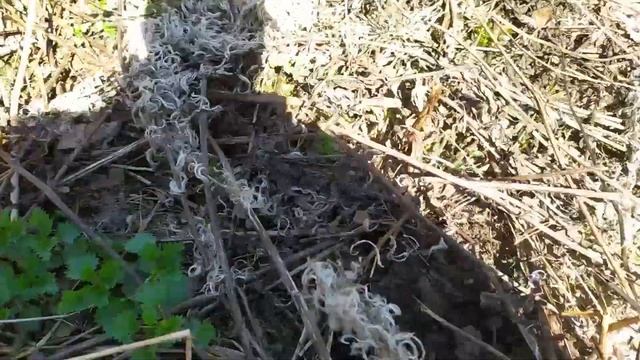 Вес бомба,цена пока не упала смотреть онлайн
