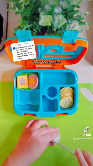 #shorts #bentoboxlunch #bentgokids #bentoboxideas #schoollunch #lunchideas #kidslunch смотреть онлайн