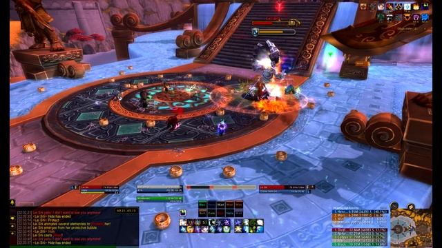 Meyo Bushido VS Lei Shi 10 Man Shadow Priest PoV