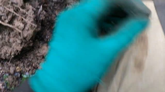 Лесные Копатели / ДОЖДЛИВЫЙ КОП / смотреть онлайн